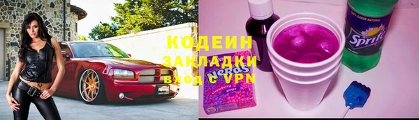 шишки Богородск