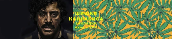 трава Богородицк